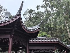 -深圳国际园林花卉博览园