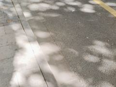 -Pasha帕夏土耳其餐厅(南昌路店)