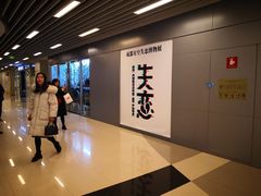 -成都失恋馆