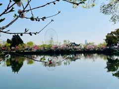 -无锡蠡湖国家湿地公园-蠡园