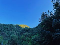 -沣峪口