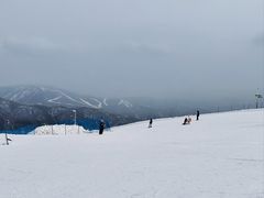 -密苑云顶乐园(云顶滑雪场)