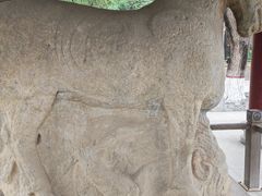 -茂陵博物馆
