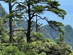 -峨眉山风景名胜区