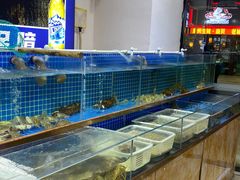 -198花园餐厅