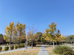 -太阳宫公园