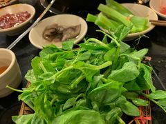 豌豆尖-酒友老火锅(渝中店)
