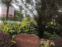 -金山公园