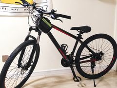 -道路口单车爱瓦士dahon大行