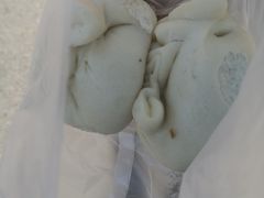 肉包子-李小老烧饼(常营民族家园店)