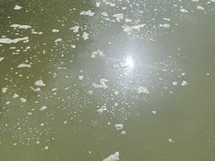 -三江森林温泉度假区