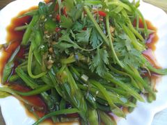 水性杨花凉拌-88号小吃店·经典云南菜·地道纳西美食