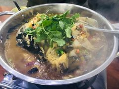 -全乐鱼馆·淳牌有机鱼直营店