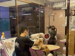 -FAELING PETS美天灵宠物(富力广场店)