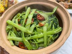 腐乳通心菜-凤城康记饭店