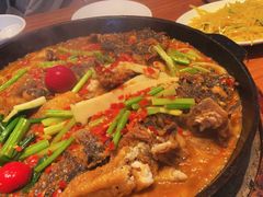 -老板恋上鱼(恒隆广场店)