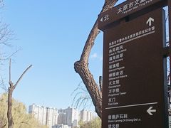 -文瀛公园