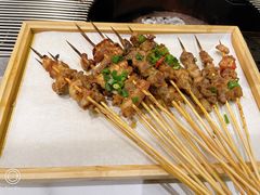 -山野的朋友露营炭火烤肉