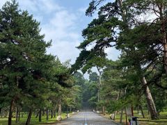 -沈阳市东陵公园