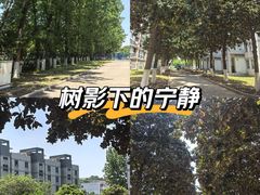 -南京邮电大学(仙林校区)