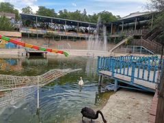 -北京鹿世界主题园