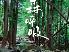 -马峦山郊野公园