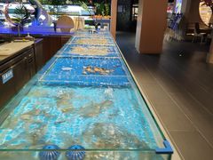 -蓝鲸湾汤泉(包河店)