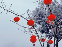 -湖南四明山国家森林公园