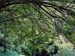 -冶父山国家森林公园