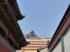 -青海藏文化博物院