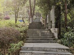 -铁山坪森林公园