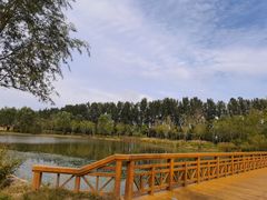 -东郊湿地公园