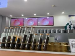 -雾与山茶(大禹城店)