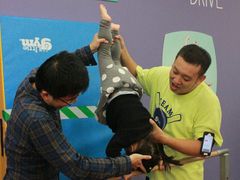 -小小运动馆(浦江店)