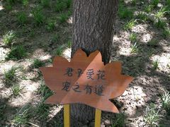 -莲花池公园