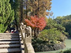 -上海醉白池公园