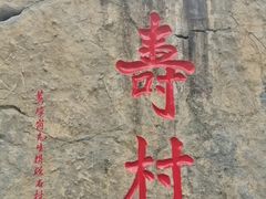 -上海烟草集团烟酒专卖店(浦东南路店)