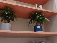 -海马体照相馆(厦门SM城市广场店)