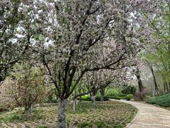 -元大都城垣遗址公园