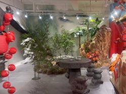 -星豆豆儿童摄影(南郊太白南路店)