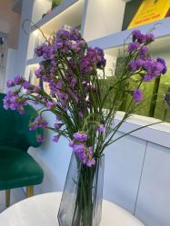 -章光101防脱养发荟