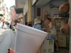 -洪馨椰子