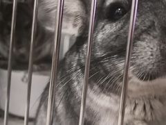 -龙猫仔乐园(惠福东路店)