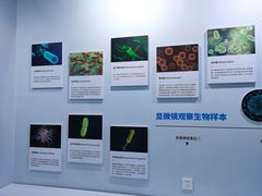 -中国杭州低碳科技馆