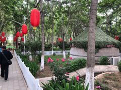 -草根堂农场