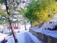-秦岭终南山世界地质公园翠华山景区