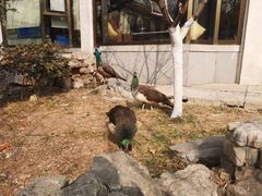 -舜耕山庄四时万和自助餐厅