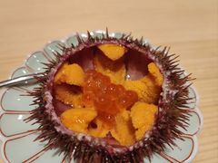 -鲤·鮨KOISUSHI