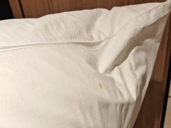 -樟宜机场皇冠假日酒店 （SG Clean） - IHG 旗下酒店