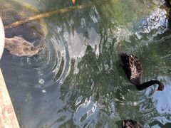 -水磨沟公园